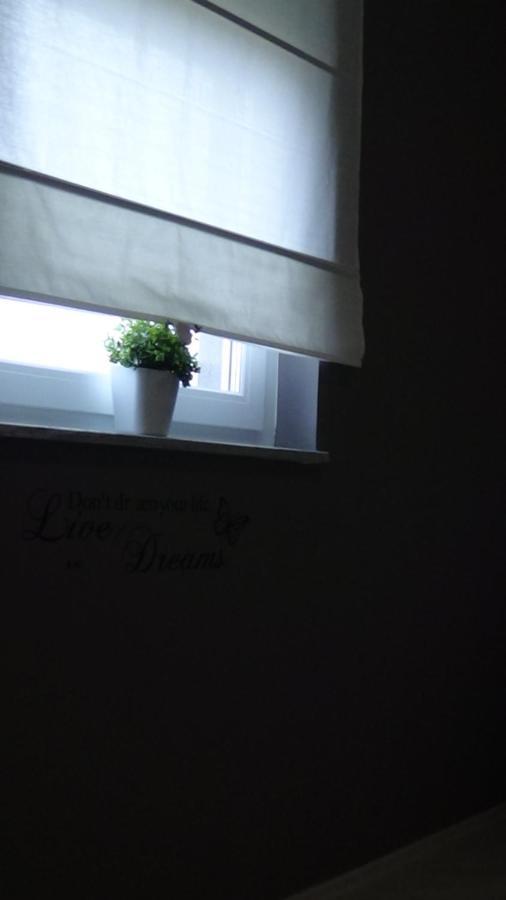 Apartments "Sun-Mauro" - Suitable For Groups Of People Novalja Exterior foto
